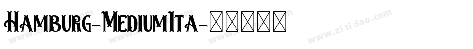 Hamburg-MediumIta字体转换