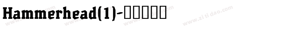 Hammerhead(1)字体转换