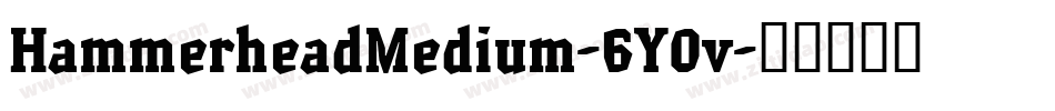 HammerheadMedium-6Y0v字体转换