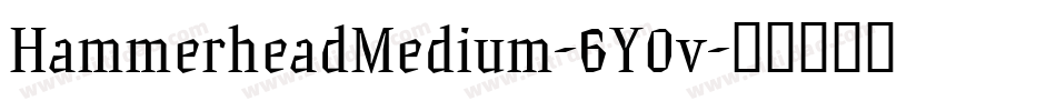 HammerheadMedium-6Y0v字体转换