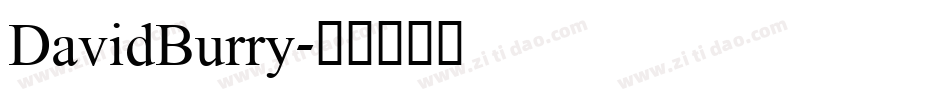 DavidBurry字体转换