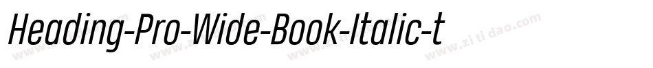 Heading-Pro-Wide-Book-Italic-trial字体转换