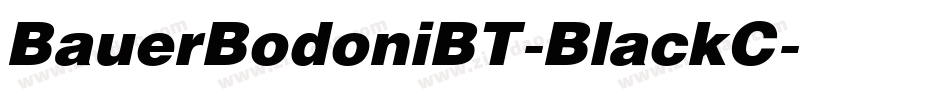 BauerBodoniBT-BlackC字体转换