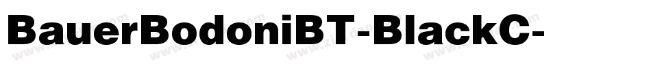 BauerBodoniBT-BlackC字体转换