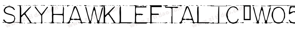 SkyhawkLeftalic-w056字体转换