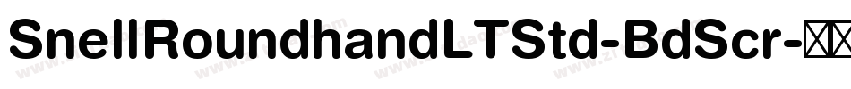 SnellRoundhandLTStd-BdScr字体转换