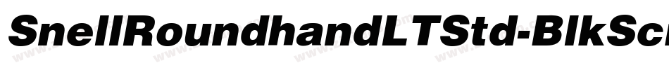SnellRoundhandLTStd-BlkScr字体转换