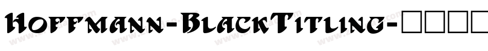 Hoffmann-BlackTitling字体转换