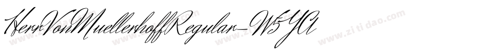 HerrVonMuellerhoffRegular-W5YA字体转换