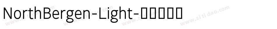 NorthBergen-Light字体转换