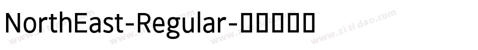 NorthEast-Regular字体转换