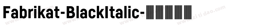Fabrikat-BlackItalic字体转换