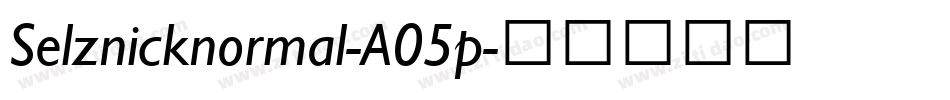 Selznicknormal-A05p字体转换