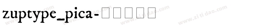zuptype_pica字体转换