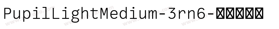 PupilLightMedium-3rn6字体转换