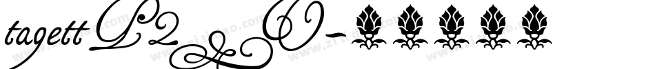tagettP2_U字体转换