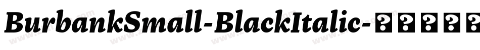 BurbankSmall-BlackItalic字体转换