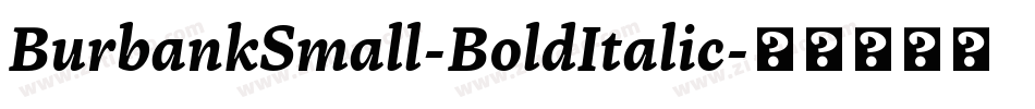 BurbankSmall-BoldItalic字体转换