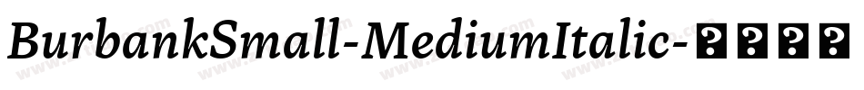 BurbankSmall-MediumItalic字体转换
