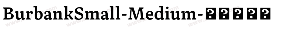 BurbankSmall-Medium字体转换