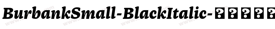 BurbankSmall-BlackItalic字体转换
