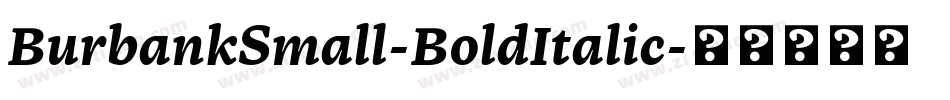 BurbankSmall-BoldItalic字体转换