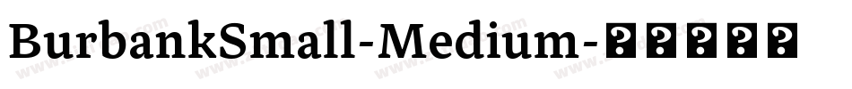 BurbankSmall-Medium字体转换