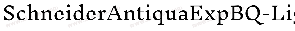 SchneiderAntiquaExpBQ-LightItalic字体转换