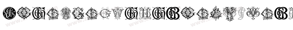 BroadwayMonogramsPlain-ZpqJ字体转换