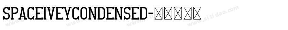 SpaceIveyCondensed字体转换