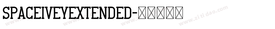 SpaceIveyExtended字体转换