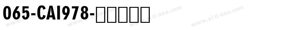 065-CAI978字体转换