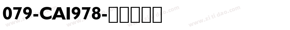 079-CAI978字体转换