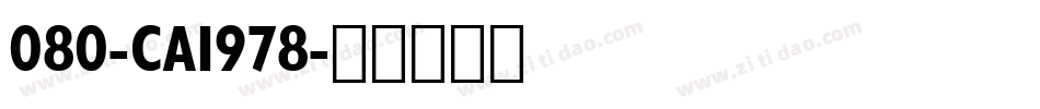 080-CAI978字体转换