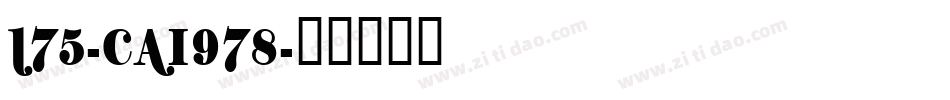 175-CAI978字体转换