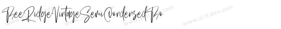BeeRidgeVintageSemiCondensedBold-vyWD字体转换