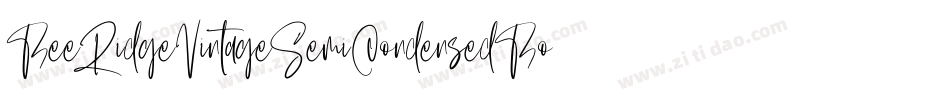 BeeRidgeVintageSemiCondensedBold-vyWD字体转换