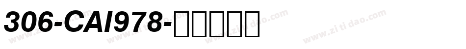 306-CAI978字体转换