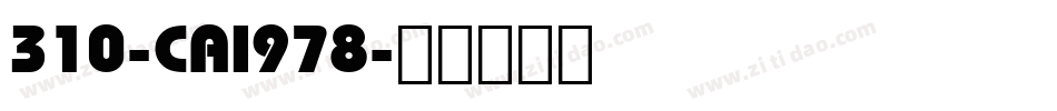 310-CAI978字体转换