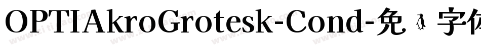 OPTIAkroGrotesk-Cond字体转换