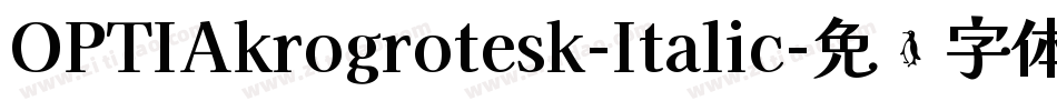 OPTIAkrogrotesk-Italic字体转换
