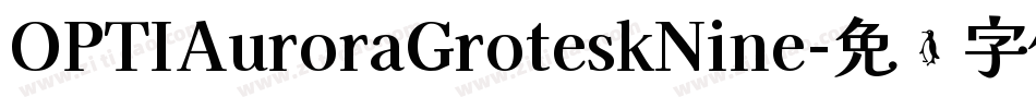 OPTIAuroraGroteskNine字体转换