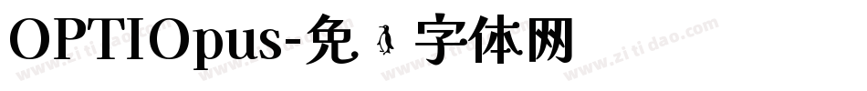 OPTIOpus字体转换