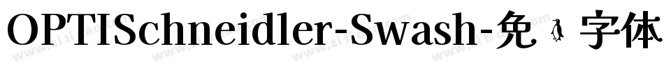 OPTISchneidler-Swash字体转换
