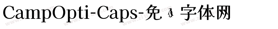 CampOpti-Caps字体转换