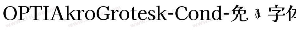 OPTIAkroGrotesk-Cond字体转换
