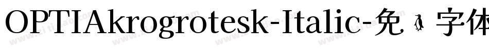 OPTIAkrogrotesk-Italic字体转换
