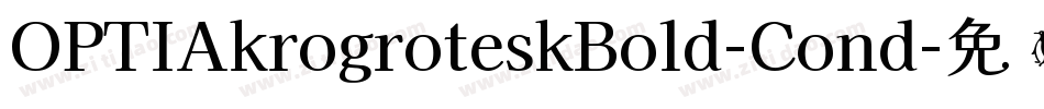 OPTIAkrogroteskBold-Cond字体转换