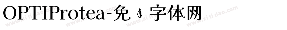 OPTIProtea字体转换