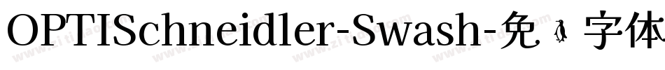 OPTISchneidler-Swash字体转换